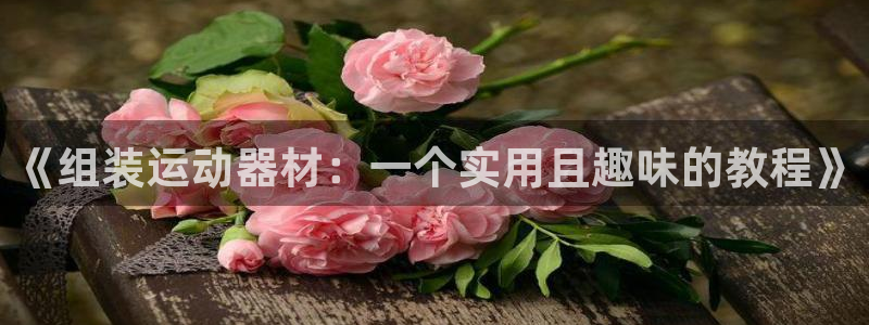 好博体育官方正版app官网:《组装运动器材:一个实用且趣味的