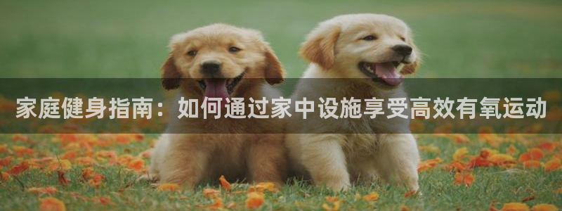 好博体育官方正版app官网:家庭健身指南:如何通过家中设施享