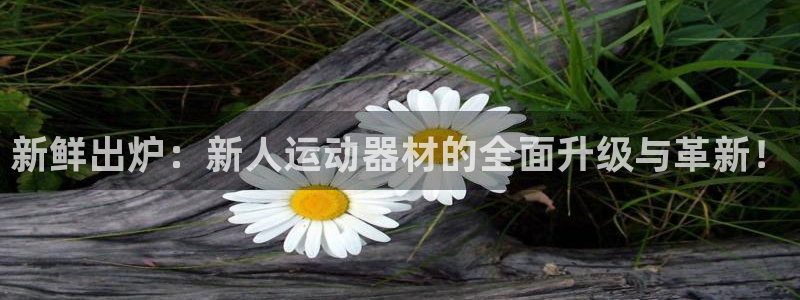 好博体育官方正版app新能源:新鲜出炉:新人运动器材的全面升