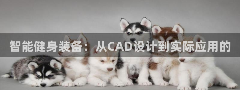 好博体育官网下载开户:智能健身装备:从CAD设计到实际应用的
